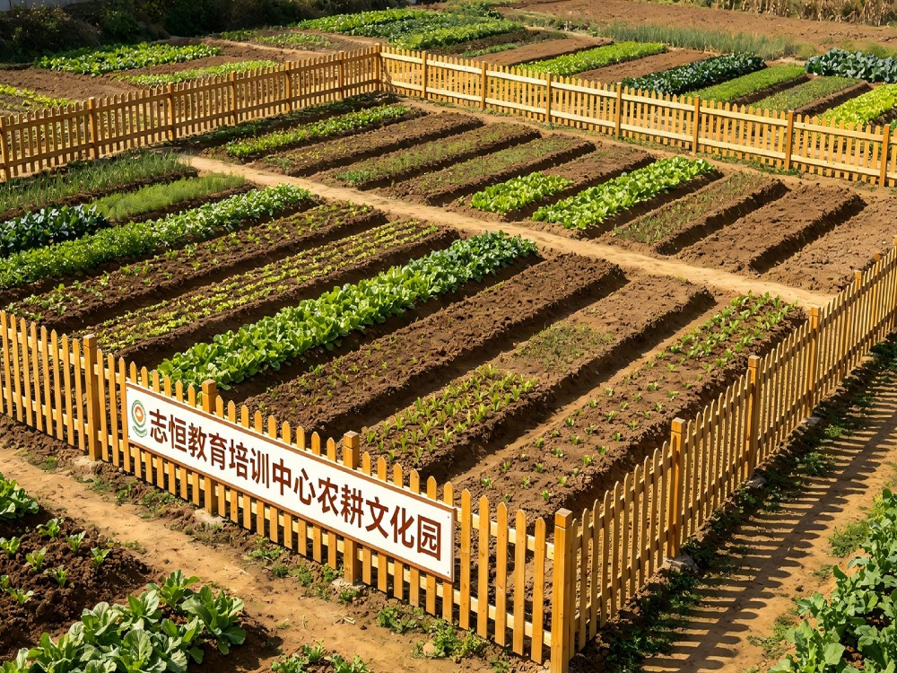 2026精选肇庆诚信的叛逆小孩管教学校哪个好